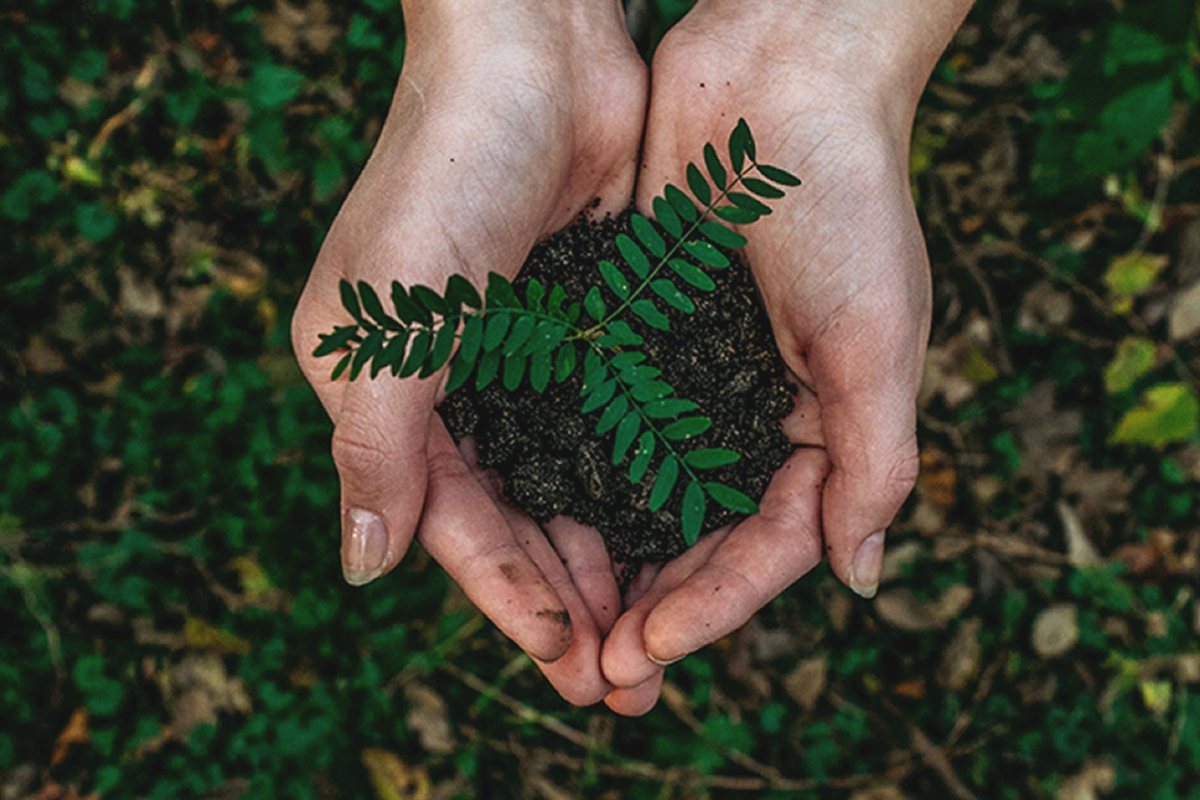 Sustainability Consulting Zürich